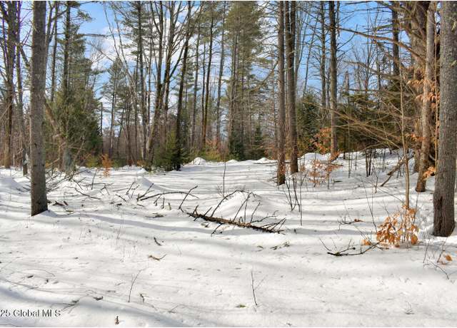 Property at L95 Highview Ln Lot 11, Wevertown, NY 12886
