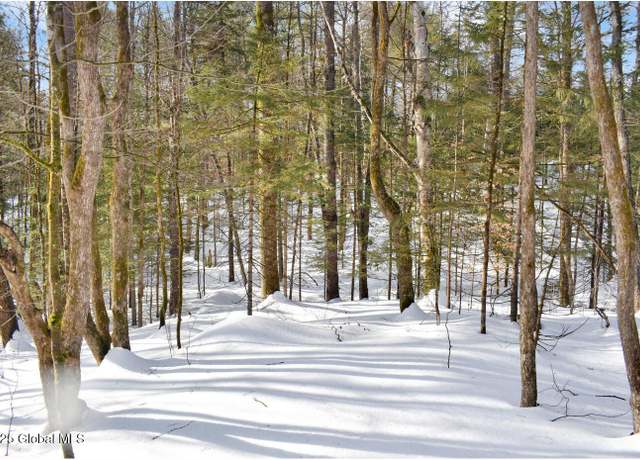 Property at L96 Highview Ln Lot 12, Wevertown, NY 12886