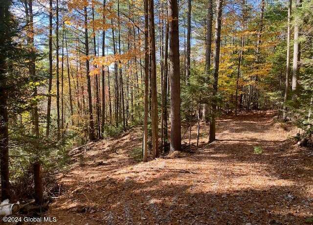 Property at 35 Mountain Path, North Creek, NY 12853