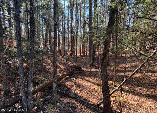 Property at L5 State Rt 28n, North Creek, NY 12853