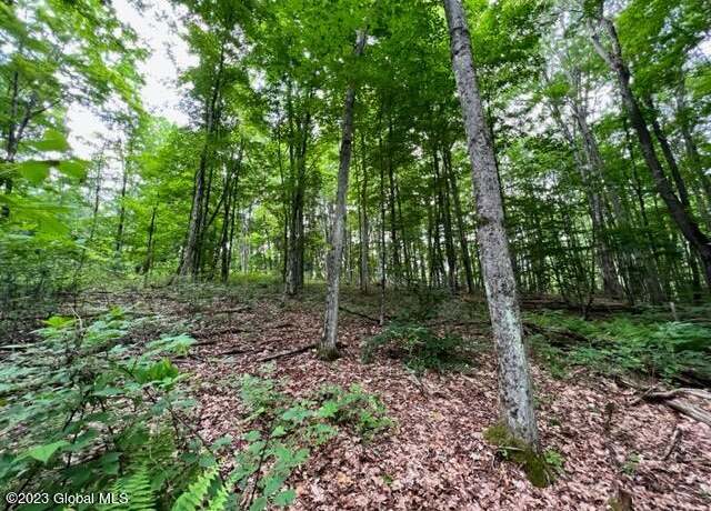 Property at Lot 1 Mcgregor Rd, Gloversville, NY 12078