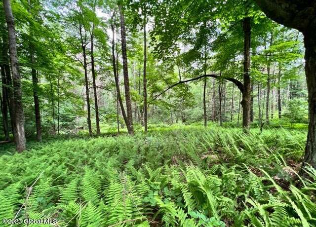 Property at Lot 2 Mcgregor Rd, Gloversville, NY 12078