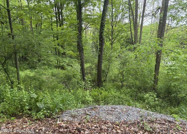 Property at 238 Emigh Rd, Milton, NY 12863