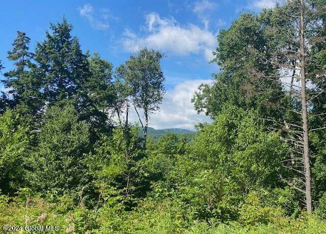 Property at L29 NY State Route 28n, North Creek, NY 12853