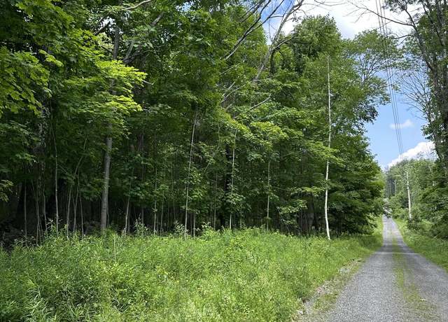 Property at L-11 C Buel Rd, Conesville, NY 12076