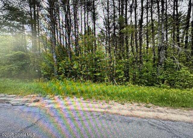 Property at L 9.1 Cape Horn Rd, Johnstown, NY 12095