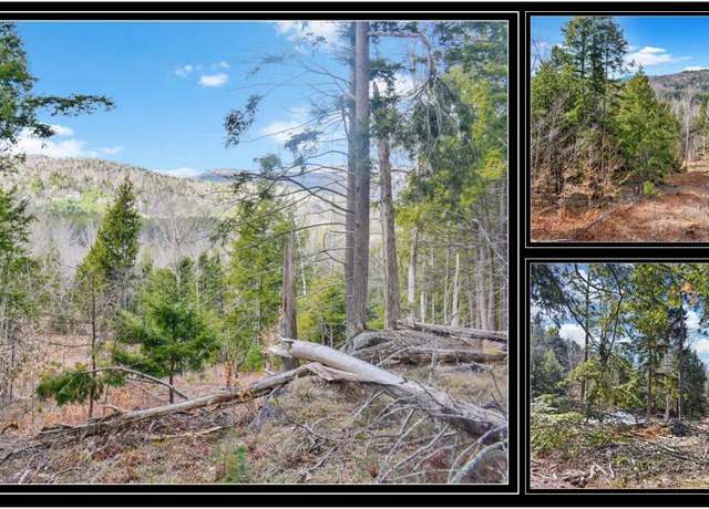Property at L17 Mountain Meadows Rd, Adirondack, NY 12860