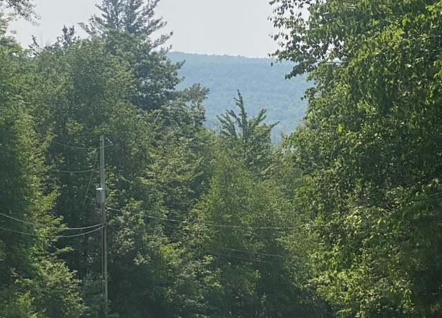 Property at L20.44 Robinson Hollow Way, Stephentown, NY 12168
