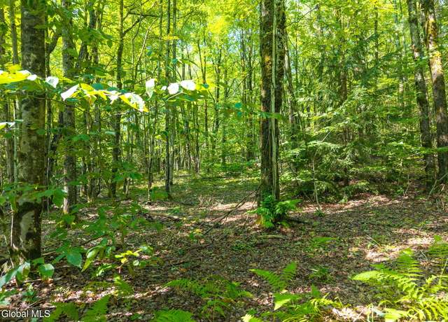 Property at 135 Dragoo Rd, Schenevus, NY 12155