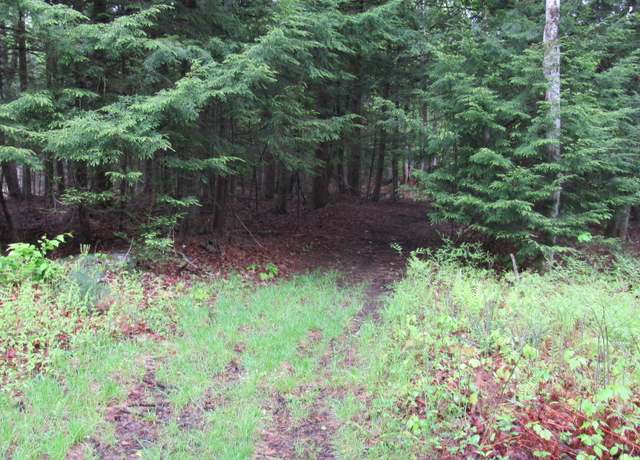 Property at L5 Seven Hills Rd, Northville, NY 12134