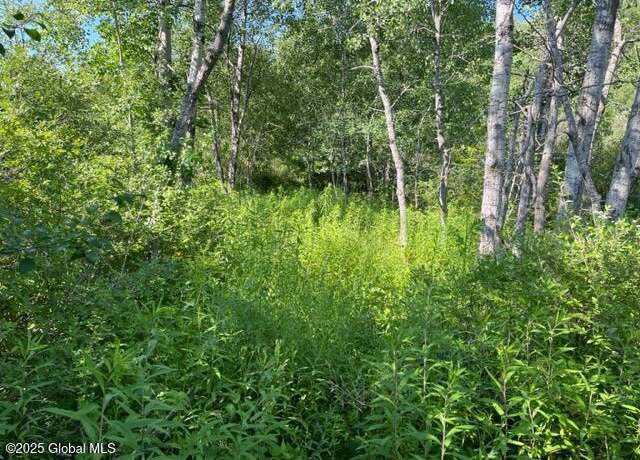Property at L9 State Route 162, Esperance, NY 12066