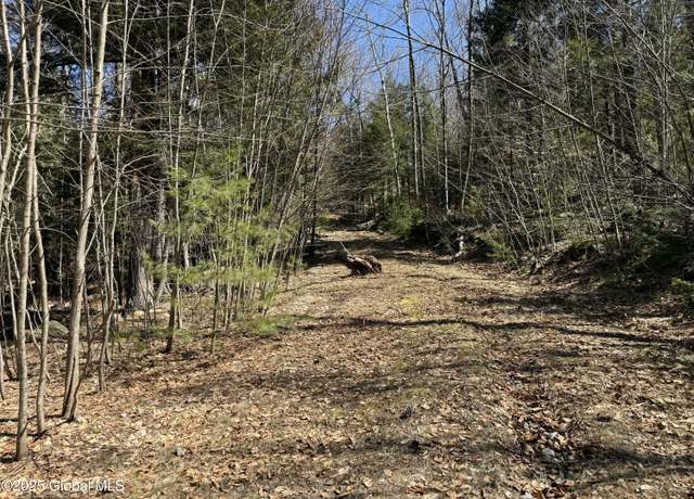 Property at 502 Howe Rd, Lake Luzerne, NY 12846