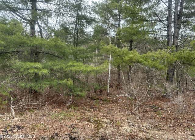 Property at L46.112 Sandhill Rd, Greenfield Center, NY 12833