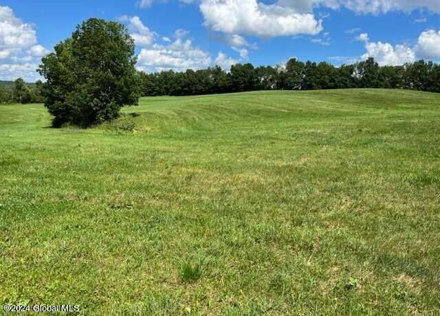 Property at L10 Charcoal Rd, Roxbury, NY 12474