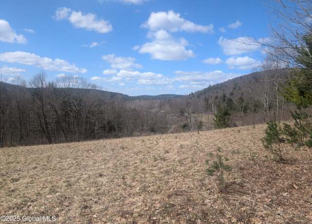 Property at 534 Rabbit College Rd, North Petersburgh, NY 12138