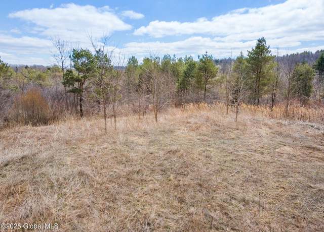 Property at L2.114 Duanesburg Rd, Duanesburg, NY 12053