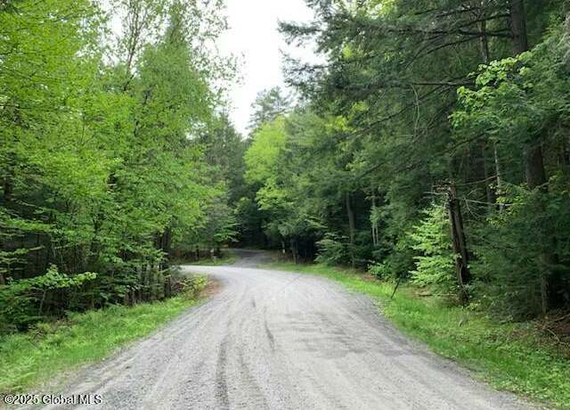 Property at 0 Trout Falls Rd, Bolton Landing, NY 12814