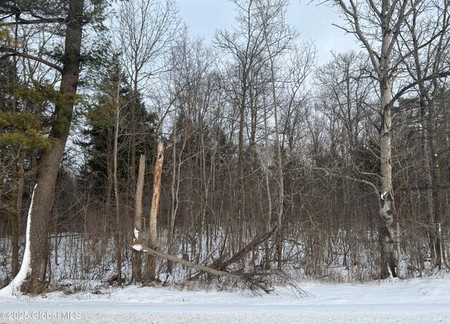 Property at L24.12 Oswegatchie Rd, Palatine Bridge, NY 13428