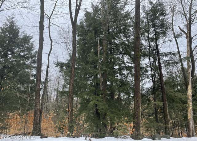 Property at L93 Lois Ln, Lake Luzerne, NY 12846