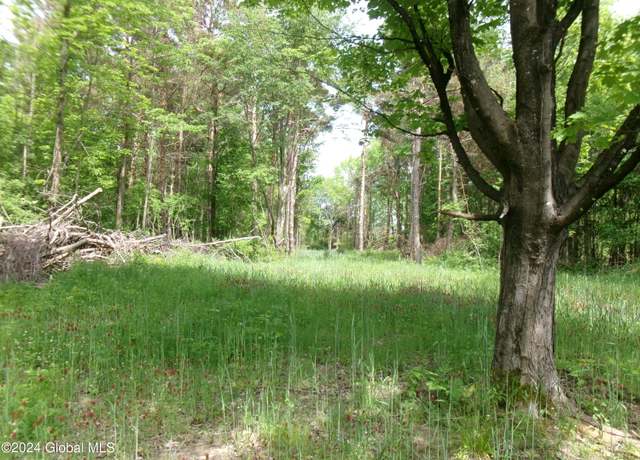 Property at 637 Chestnut St, Sharon Springs, NY 13459