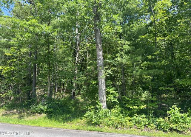 Property at L20.1 Vosenkill Rd, Athens, NY 12015