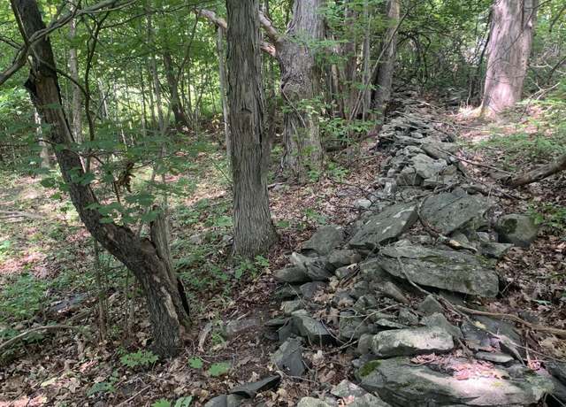 Property at L171 Edwards Hill Rd, Preston Hollow, NY 12469