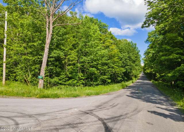 Property at L11 Peraglie Rd, Jefferson, NY 12093