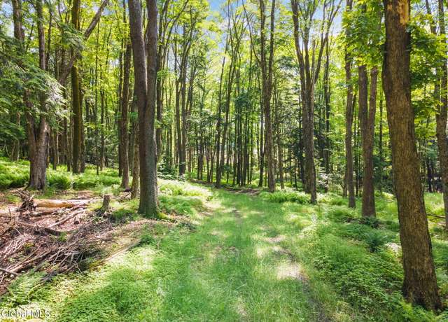 Property at 238 Bear Gulch Rd, Summit, NY 12175