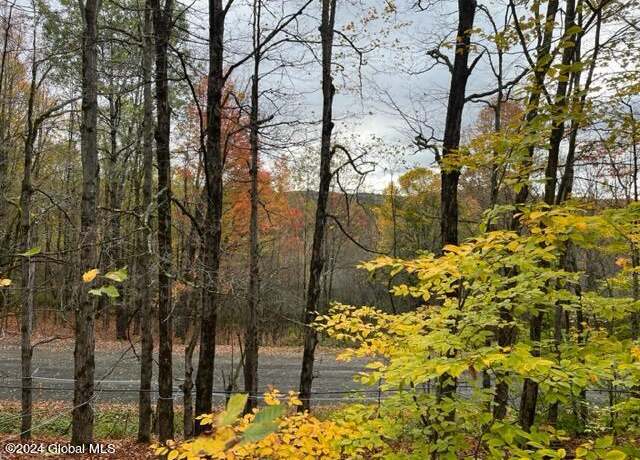 Property at L34 Truax Rd, Worcester, NY 12197