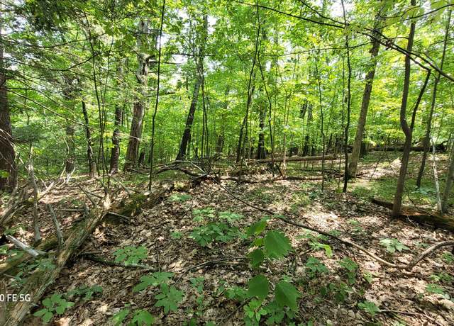 Property at 50 Finger Hill Rd, Saugerties, NY 12477