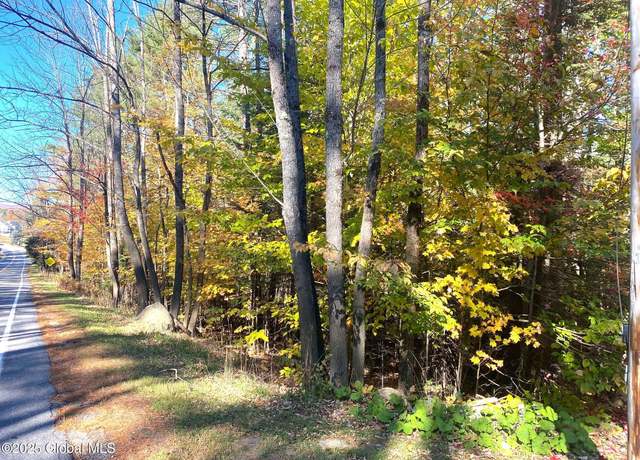 Property at L36 County Route 29, Olmstedville, NY 12851