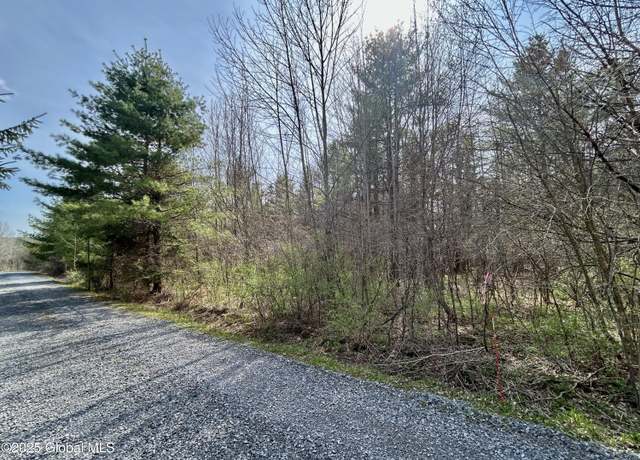 Property at L44 Lynx Dr, Richmondville, NY 12194
