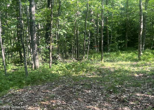 Property at L45 Burdick Rd Ssd, Gloversville, NY 12078