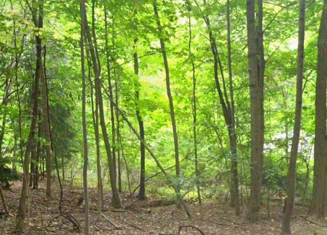 Property at L51 The Mall, Amsterdam, NY 12010