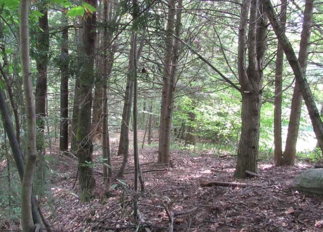 Property at L24 Van Rensselaer Dr, Edinburg, NY 12134