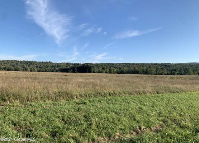 Property at Lot 5 NY 30, Esperance, NY 12066