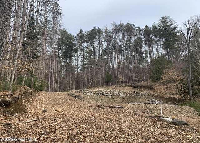 Property at 41 Gibbons Rd, Brant Lake, NY 12815