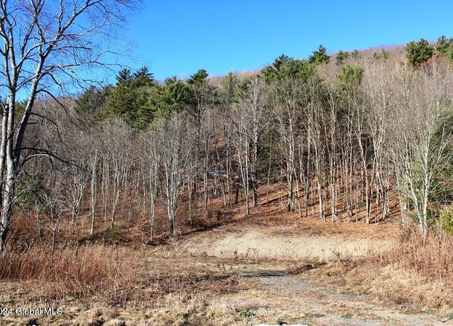 Property at 8555 State Highway 7, Schenevus, NY 12155