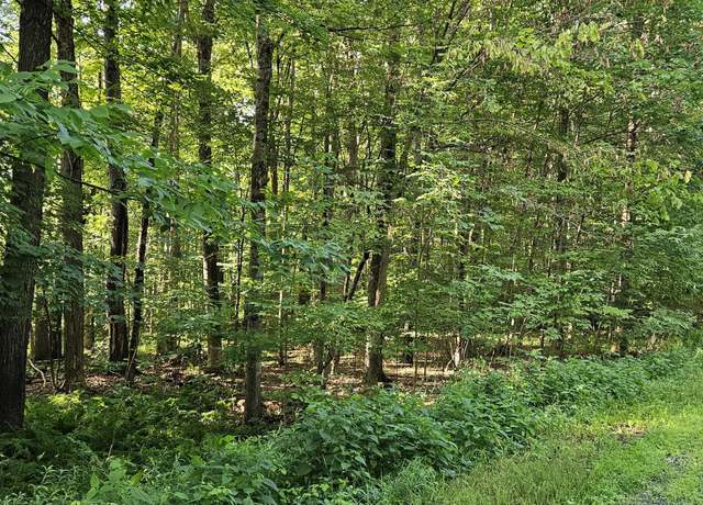 Property at L68.3 Bumphill Rd, Greenfield Center, NY 12833
