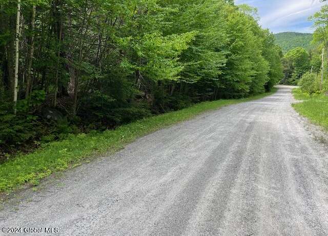 Property at 110 Ruby Mountain View Dr, North River, NY 12853