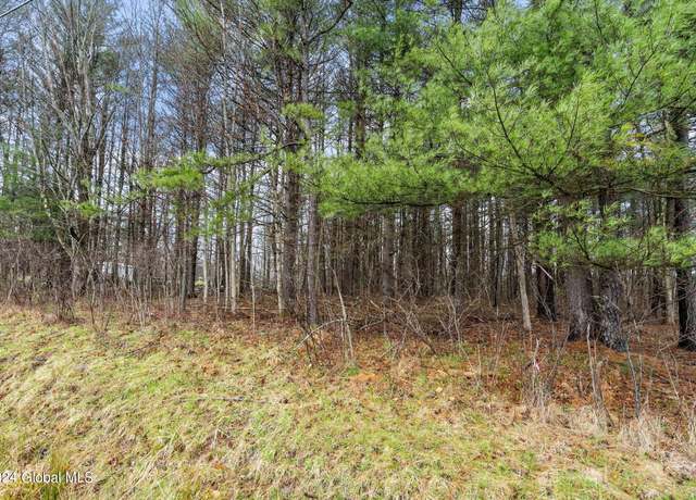 Property at L25.3 Waterbury Rd, Nassau, NY 12123