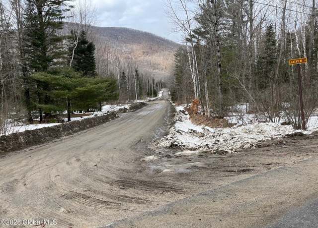 Property at 48 Lakeview Ln, North River, NY 12856