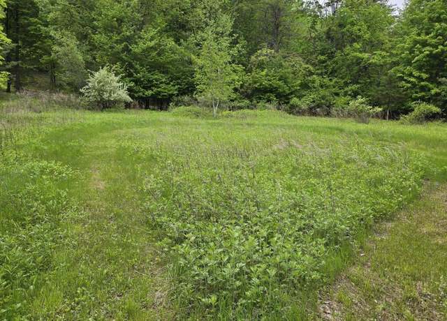 Property at L15 S Durham Estates Rd, Acra, NY 12460