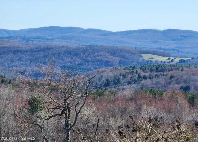 Property at L1 Lang Rd, Summit, NY 12175