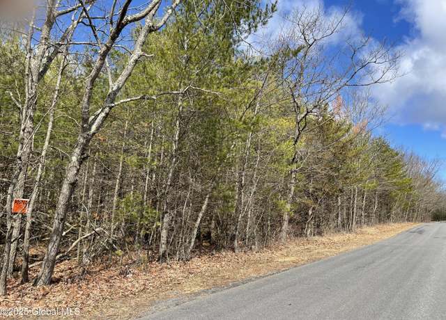 Property at L18 Old Kings Rd, Hannacroix, NY 12087