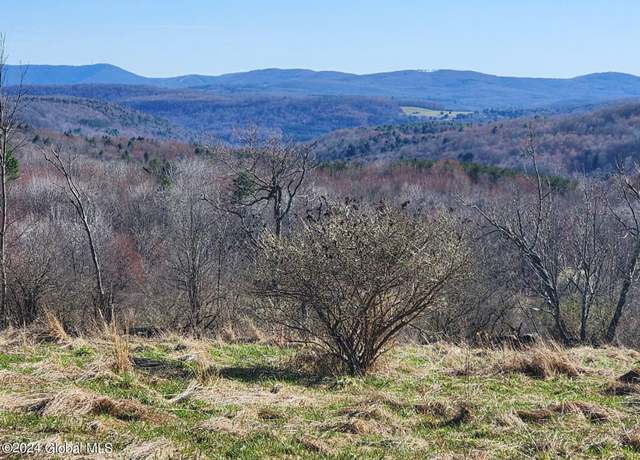 Property at L2 Lang Rd, Summit, NY 12175
