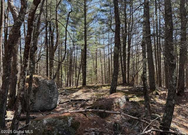 Property at L12.111 Thilo Rd, Schroon Lake, NY 12870