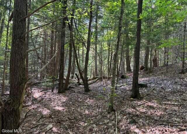 Property at L8 Wrights Farm Rd, Bolton Landing, NY 12814
