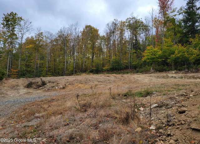 Property at 126 Rivers Edge Rd, Esperance, NY 12066