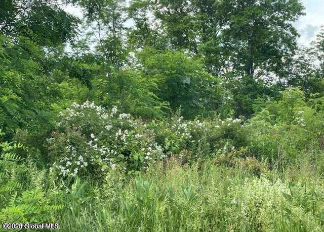 Property at 14 Eastview Dr, Ravena, NY 12143